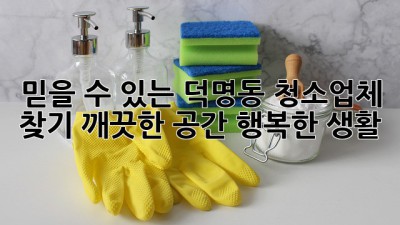 믿을 수 있는 덕명동 청소업체 찾기: 깨끗한 공간, 행복한 생활